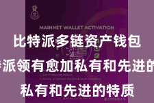 比特派多链资产钱包 比特派领有愈加私有和先进的特质