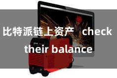 比特派链上资产   check their balance